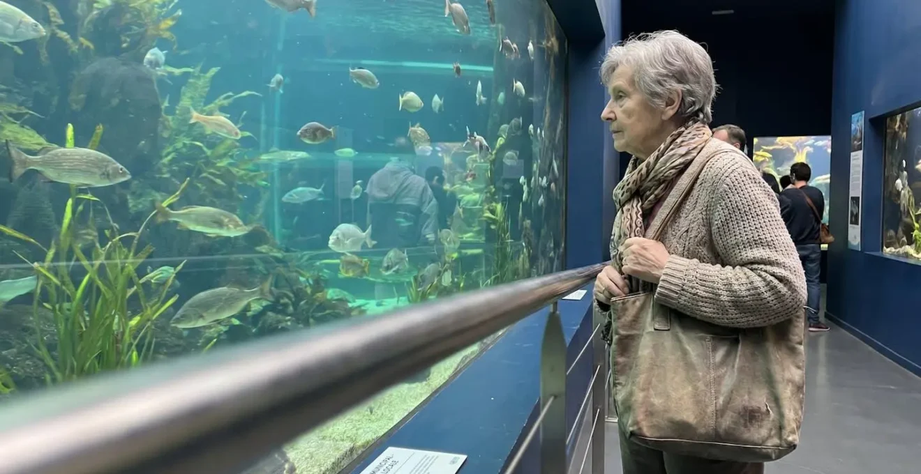 Senior de profil observant un grand aquarium dans un musée, main-courante visible, éclairage naturel intérieur, moment authentique de visite confortable